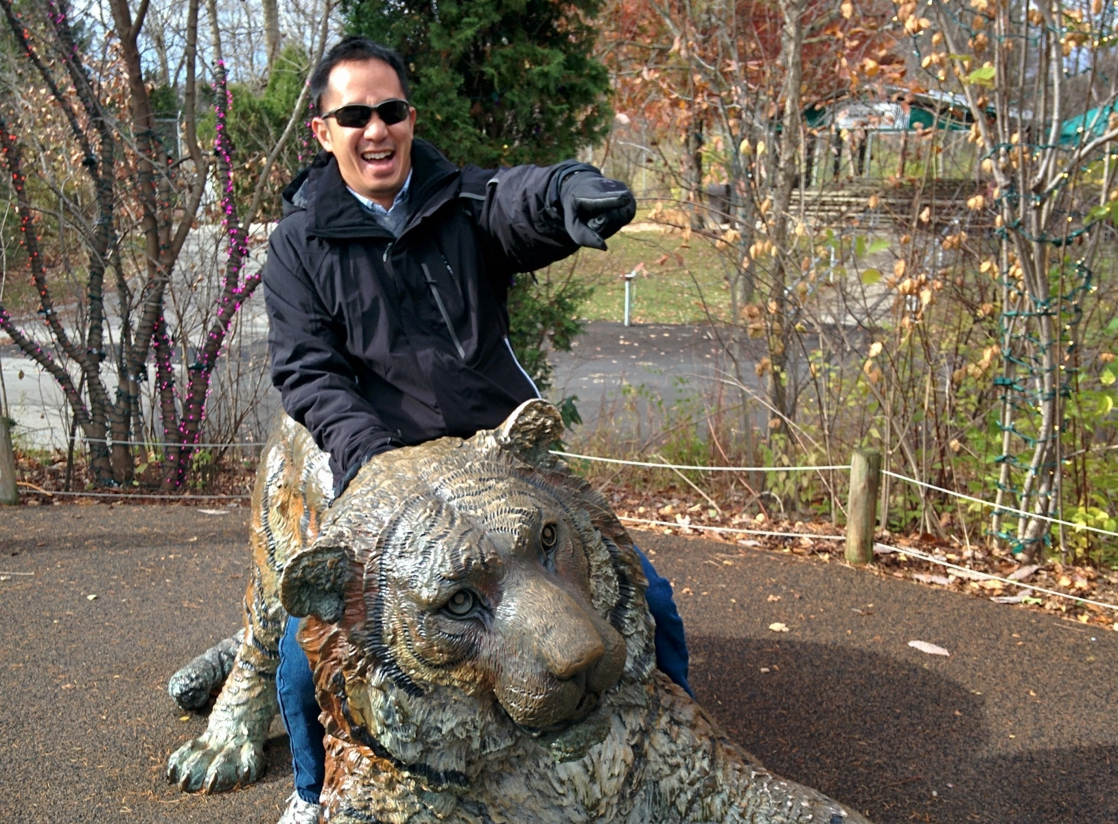 November 7, 2014 - Heading into battle on a tiger at the Columbus Zoo